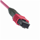 JMP-B8FBM4LD-xxx-SM